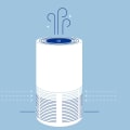 Filtering Out the Facts and What Does An Air Filter Do?